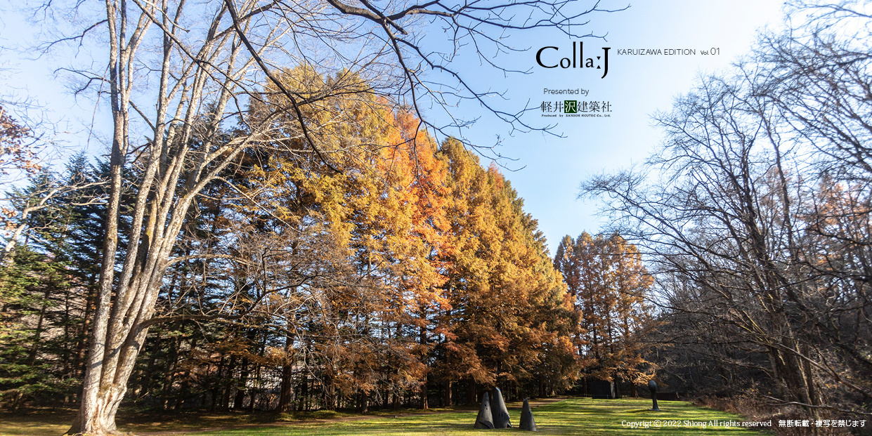 collaj_k_036.jpg