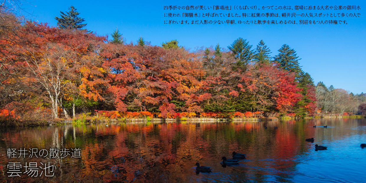 collaj_k_02_016.jpg