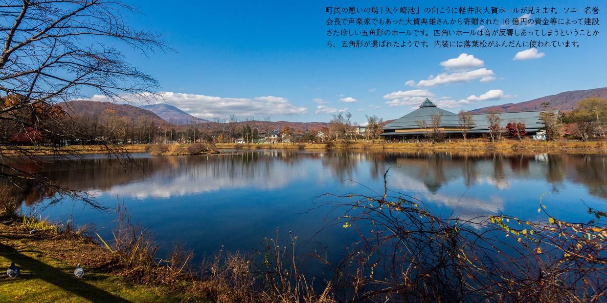 collaj_k_02_032.jpg