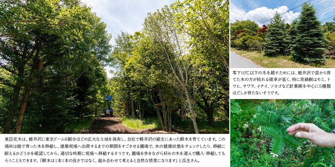 collaj_202307_(24).jpg