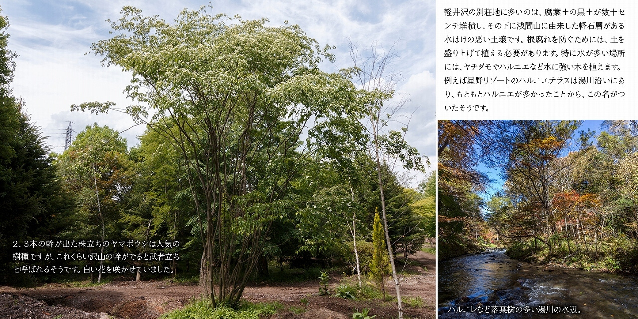 collaj_202307_(29).jpg